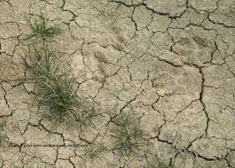 Les phénomènes géologiques externes